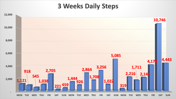 Three Weeks Daily Steps